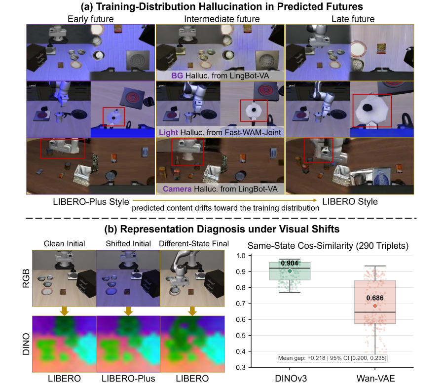 Training-distribution hallucination cases and DINOv3 versus Wan-VAE representation diagnosis